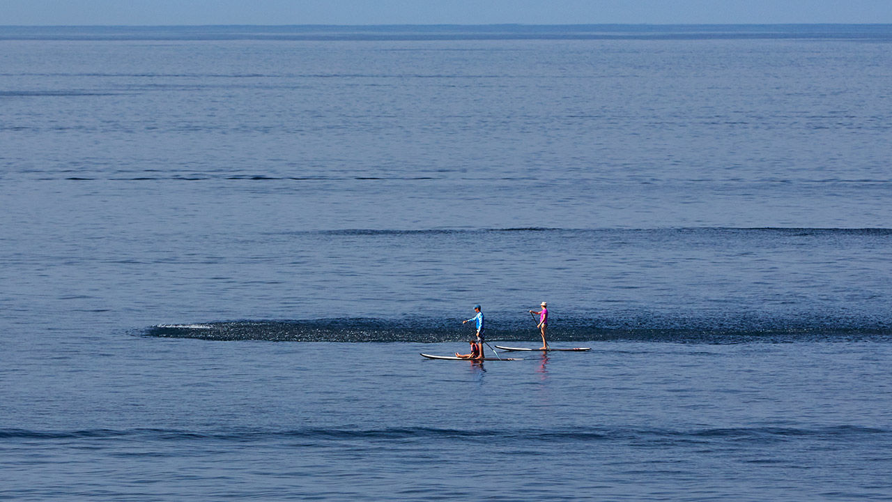 Thompson Zihuatanejo, A Beach Resort, By Hyatt 設備 写真